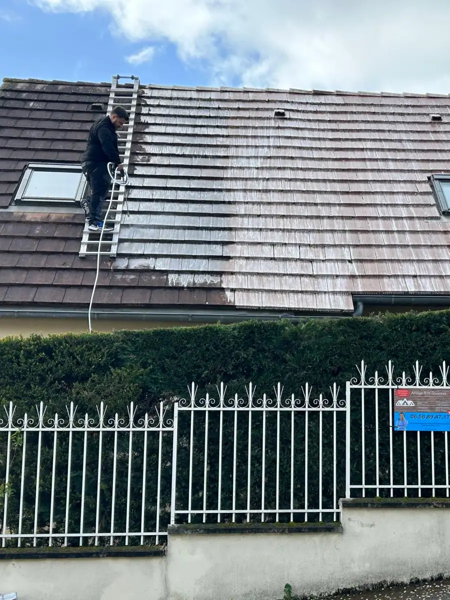 Démoussage de toiture en cours : la moitié traitée nettement plus claire que le reste